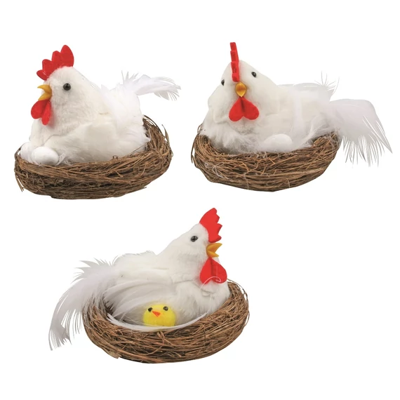 Tyúk a fészekben, tojásokkal 