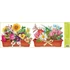 Kép 3/5 - Ragasztómentes  ablakmatrica 55x22,5cm  – Virágok cserépben 
